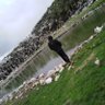 Joe-Ghanem's profile picture