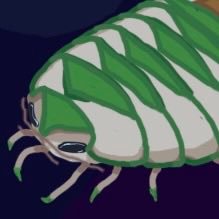 turts's profile picture
