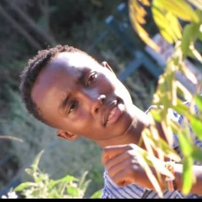 roywahome9's profile picture