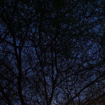 ~'s profile picture