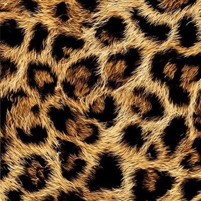 zurly's profile picture