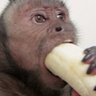 Profilbild von openflow