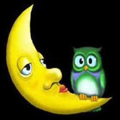 FlaviaGufetta's profile picture