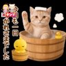ぱぐのすけ profil fotoğrafı