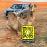 ابو صالح القفاري ..🐪🎖️ profil fotoğrafı