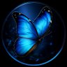 Butterfly's profile picture
