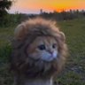 J profil fotoğrafı