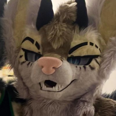 NoirWuff's profile picture