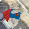Profilbild von butch superman
