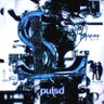 lucid pulsd profil fotoğrafı