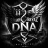 SiyahBeyazDNA 的头像