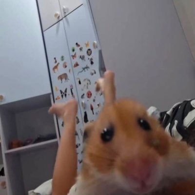 Femboyy_loverin's profile picture