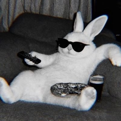 bh8553414's profile picture