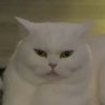 wizou_221 🇧🇮🇳🇬's profile picture