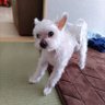 アニー's profile picture