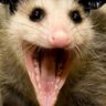 Profilbild von Possum