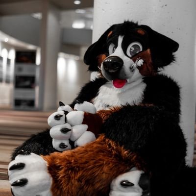 July_Husky's profile picture
