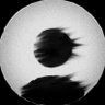 Robichux's profile picture