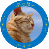 ねこまっしぐら's profile picture