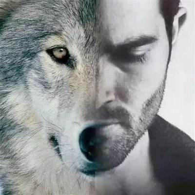 lilorishka's profile picture
