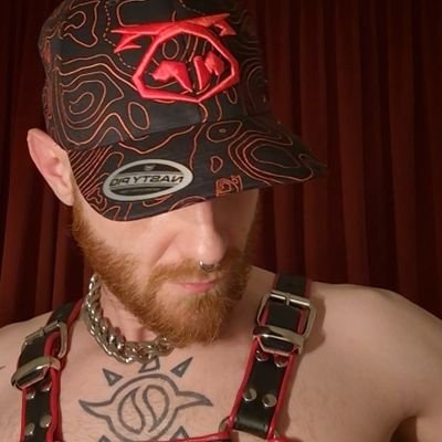 PIGDOG_RED's profile picture