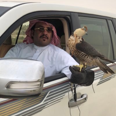 هدار الظفيري's profile picture