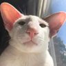 Profilbild von Unaccounted For
