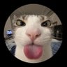 Static's profile picture