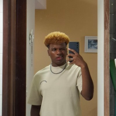 heyllwyn's profile picture