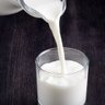 LA MOUCHE DANS LE LAIT's profile picture