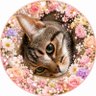 みはる田中's profile picture