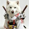 Фото профиля 魏书明
