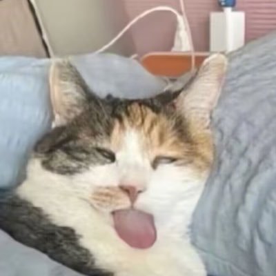 NNNLAP's profile picture