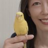 Фото профиля クロース真桜
