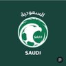 جندي الأخضر🇸🇦 的头像
