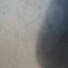 Ser ch's profile picture