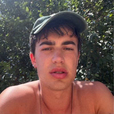 bogtins's profile picture