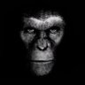 Gaperlee Swings's profile picture