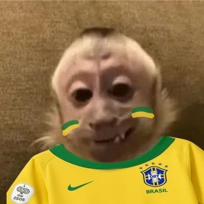 Jaianekk Lohikäärmekase da Silva's profile picture