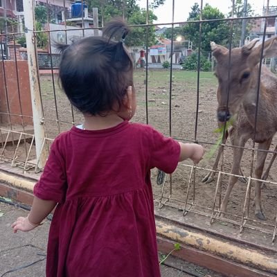 jiecaaaa's profile picture