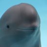 Explored Fiction's profile picture