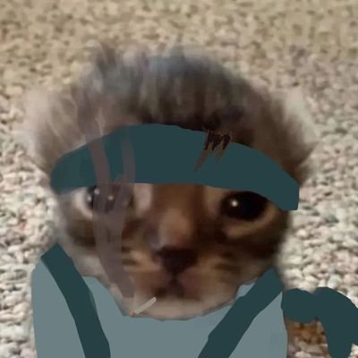 caio's profile picture