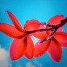 LaDo's profile picture