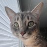 Drea profil fotoğrafı