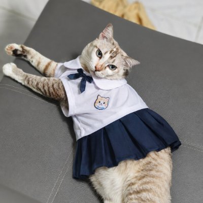 mamypunboon2010's profile picture