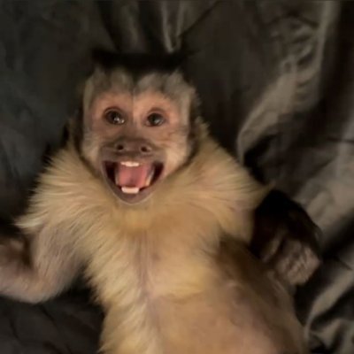 Veritas_R1's profile picture
