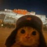 Profilbild von 石榴