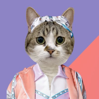 จ้มจ้ม ₍^. .^₎⟆ • 𝔃𝓸𝓶𝓶𝓲𝓲's profile picture