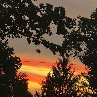 mlbARL's profile picture