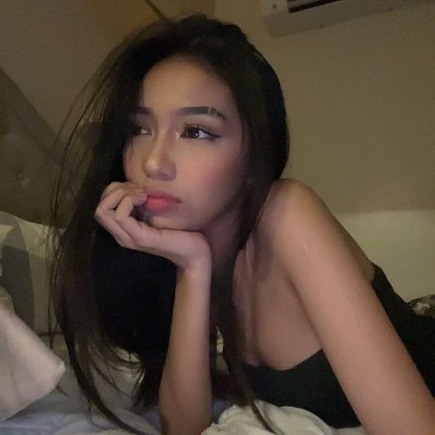Pemersatu bangsa's profile picture